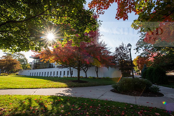 FallCampusLife1024AWB_5125