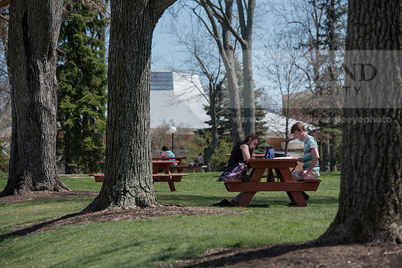 Spring Campus
