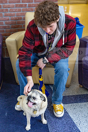 DestresswithAnimals0424MC__1326