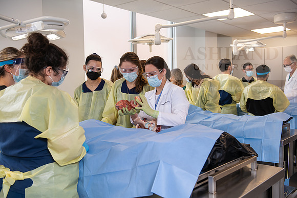 PAProgramCadaverLab1221ALW_4081