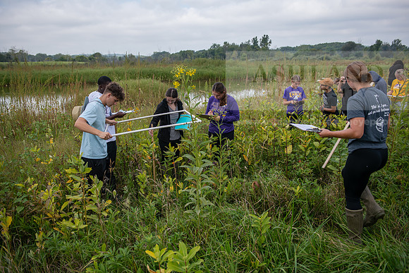 Biology_Saunders_BlackFork_Milkweed0923AWB_3562