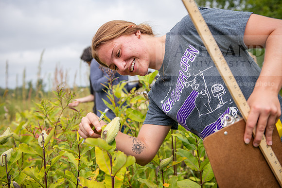 Biology_Saunders_BlackFork_Milkweed0923AWB_3633