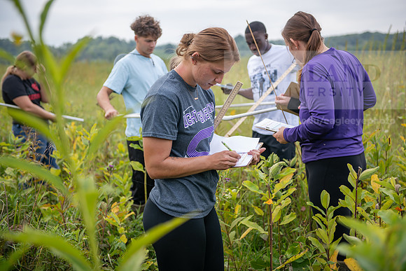 Biology_Saunders_BlackFork_Milkweed0923AWB_3575