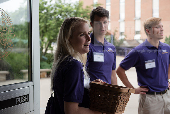 Orientation Number 2