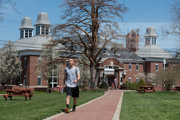Spring Campus